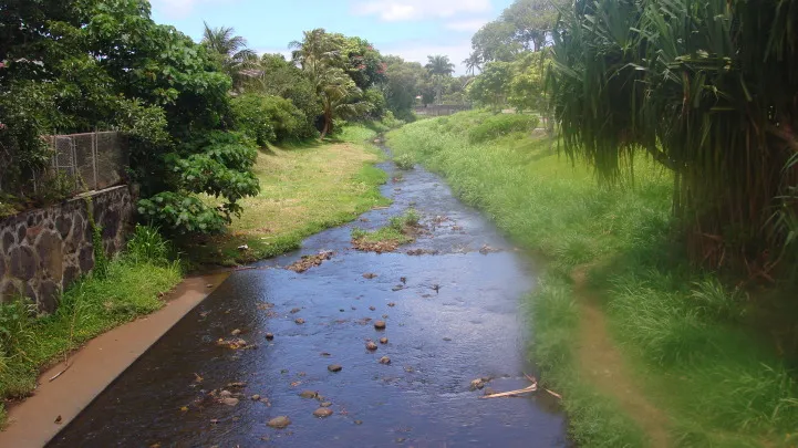 A narrow stream running through a green grassy landscape with trees and a paved path alongside, under a partly cloudy sky