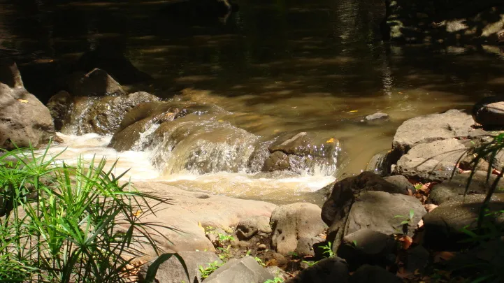 A small cascading waterfall over rocks in a shaded, tree-lined stream with murky water