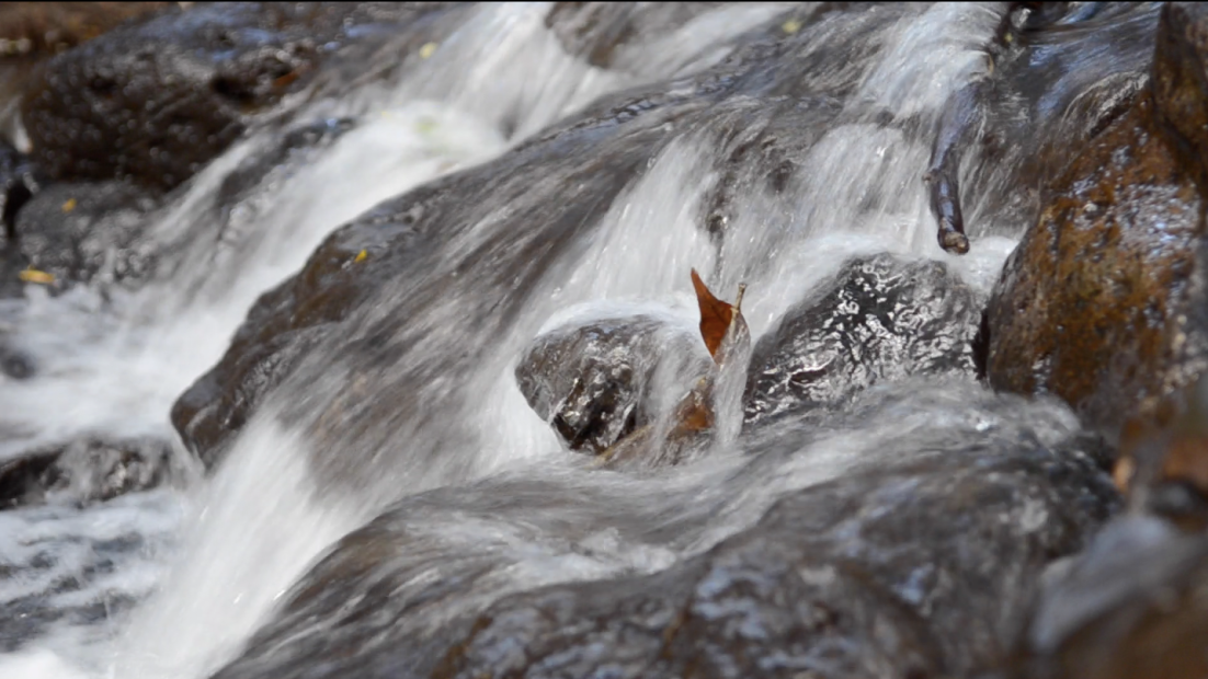 Water rushing over dark wet rocks with a single orange leaf caught among them